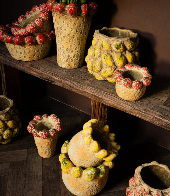 PTMD Fruitige rode ronde aardewerken kom met aardbeienrand.