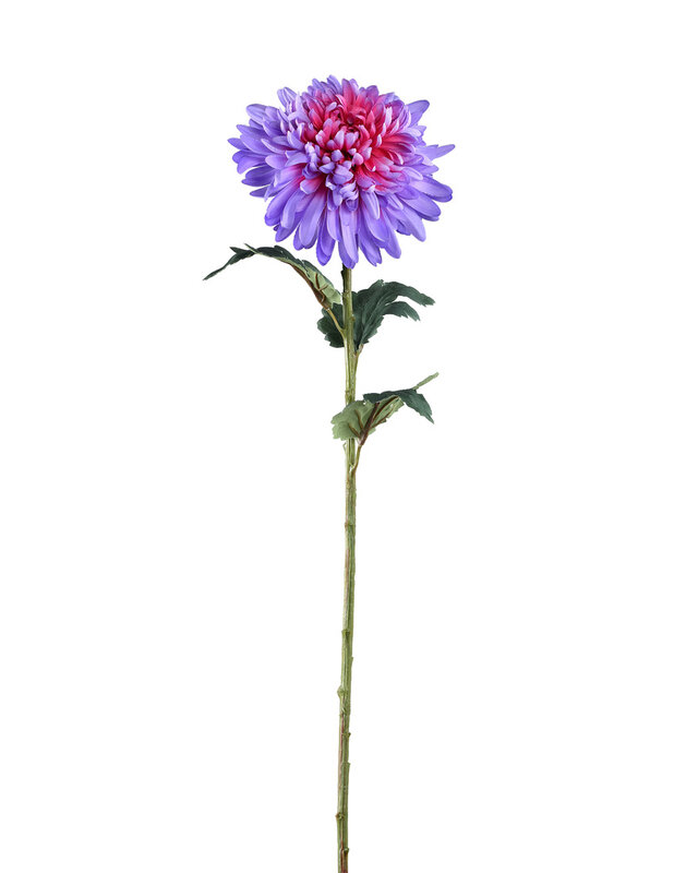 PTMD Tuinbloem paarse chrysant spray