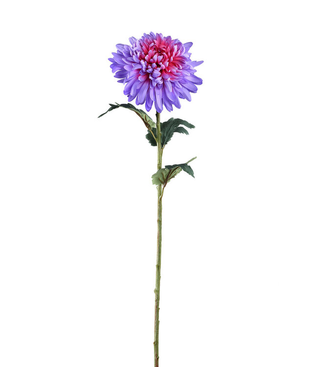 PTMD Tuinbloem paarse chrysant spray