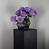 Tuinbloem paarse chrysant spray