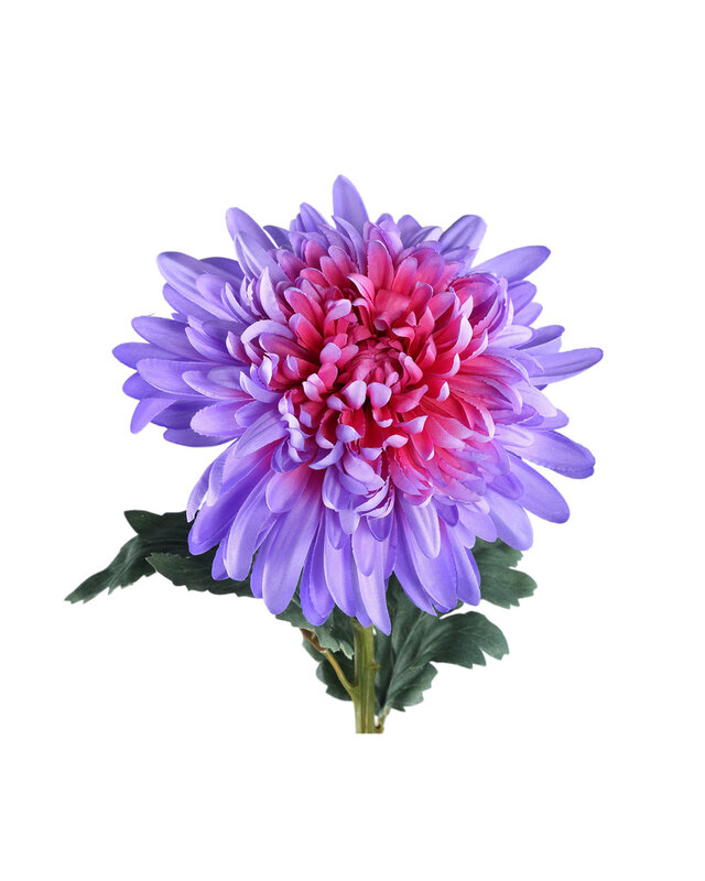 PTMD Tuinbloem paarse chrysant spray