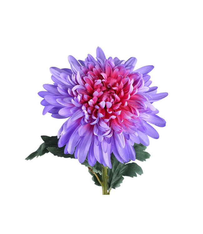 PTMD Tuinbloem paarse chrysant spray
