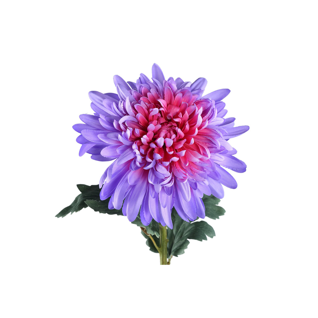PTMD Tuinbloem paarse chrysant spray
