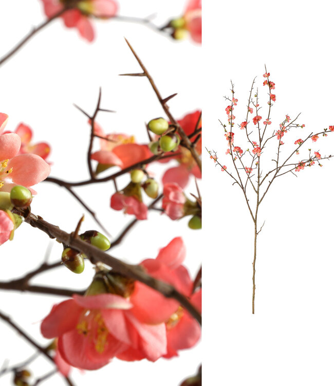 PTMD  Blossom bloem Roze kersenbloesem L