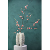 Blossom bloem Roze kersenbloesem L