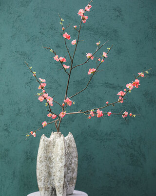 PTMD Blossom bloem Roze kersenbloesem L