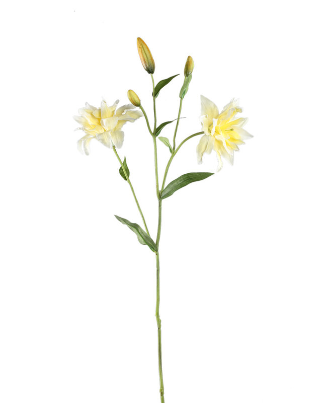 PTMD Leliebloem geel dubbele lelie spray