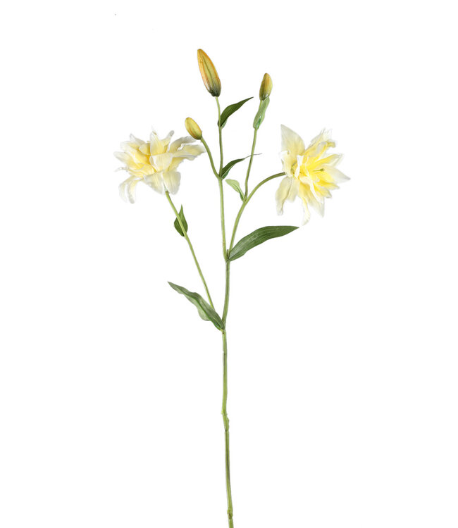 PTMD Leliebloem geel dubbele lelie spray