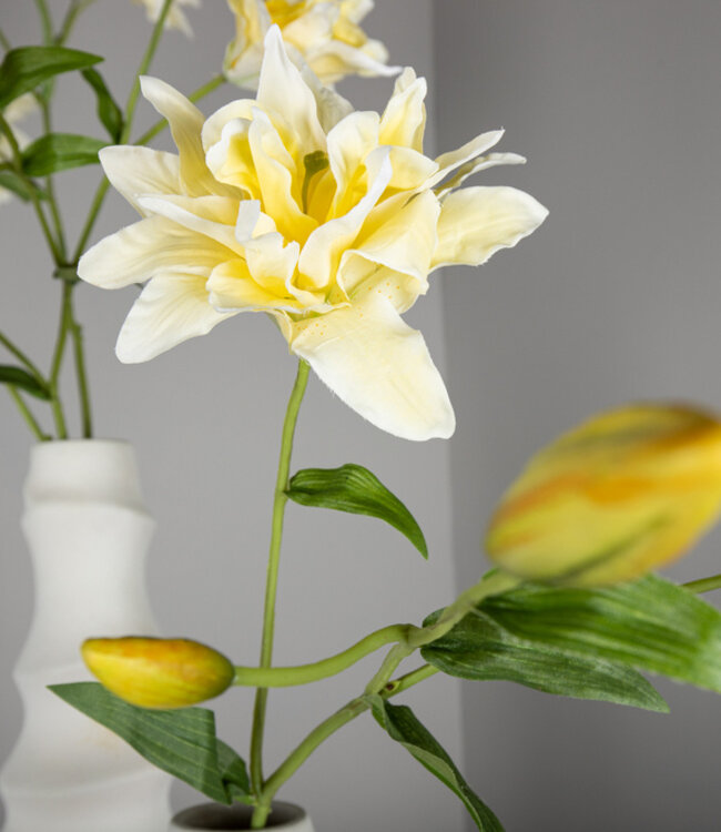 PTMD Leliebloem geel dubbele lelie spray