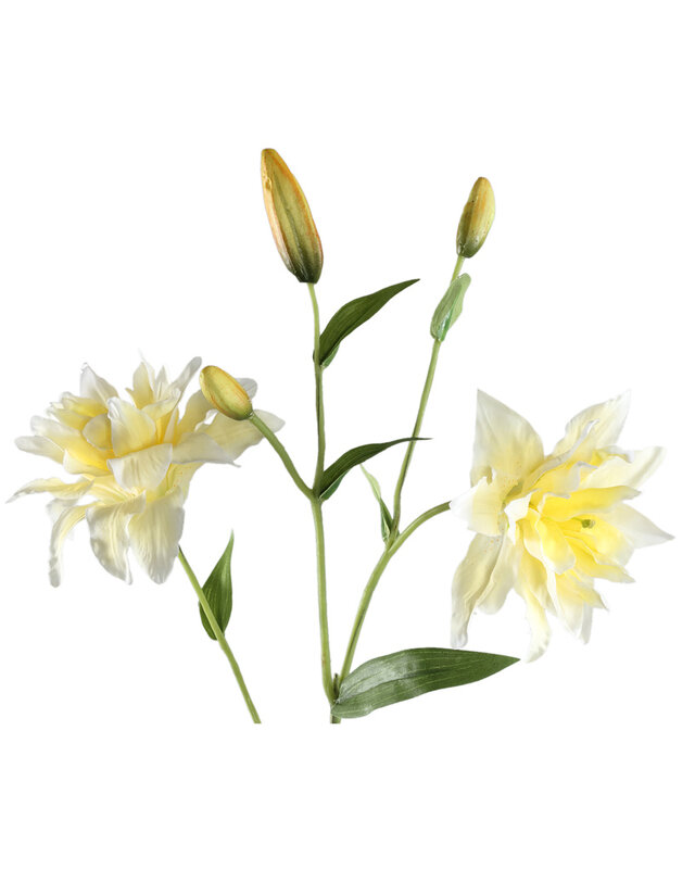 PTMD Leliebloem geel dubbele lelie spray