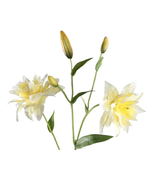 PTMD Leliebloem geel dubbele lelie spray