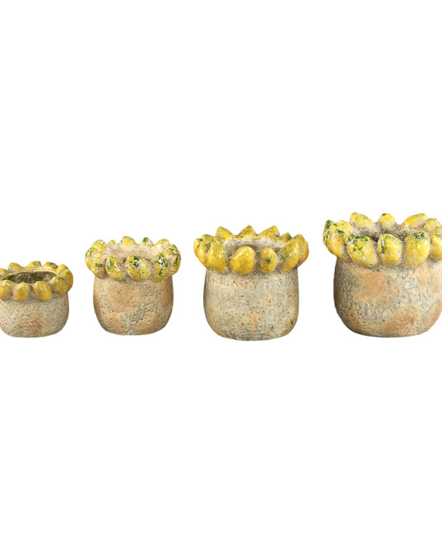 PTMD Fruitige gele ronde terrapot citroenenrand L.