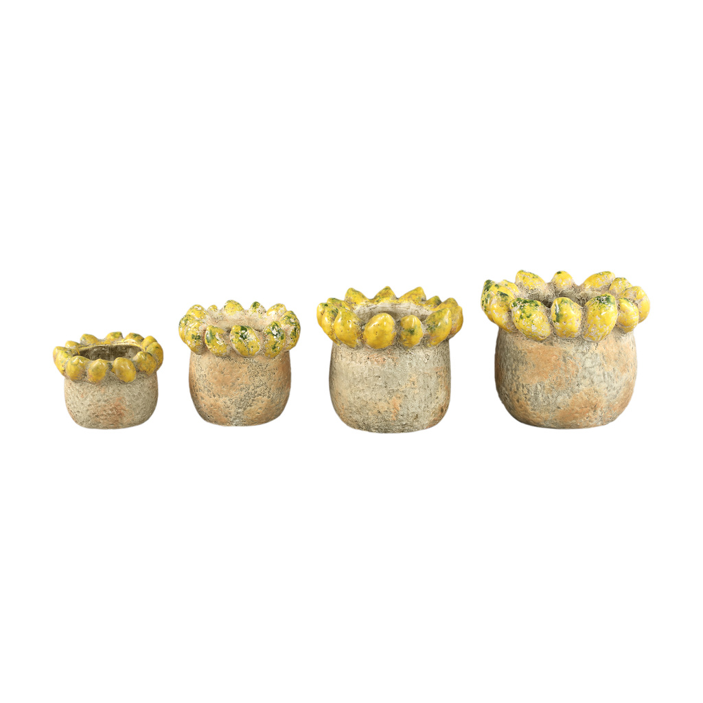 PTMD Fruitige gele ronde terrapot citroenenrand L.