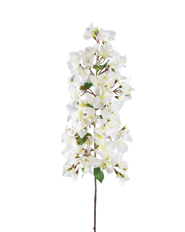 PTMD Tuinbloem Witte Bougainvillea hangend