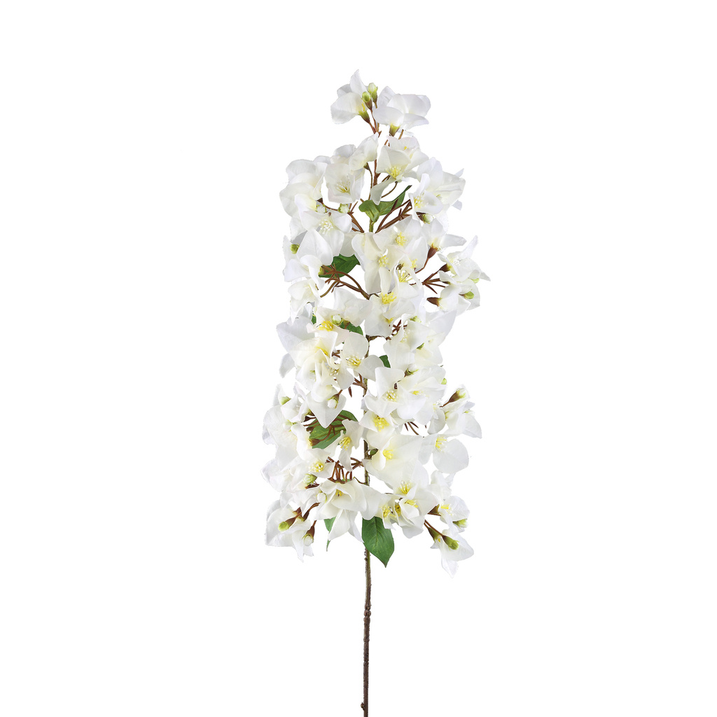 PTMD Tuinbloem Witte Bougainvillea hangend