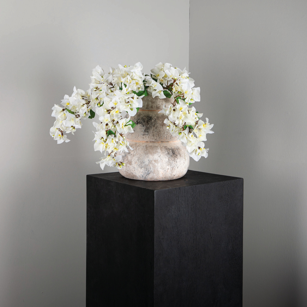 PTMD Tuinbloem Witte Bougainvillea hangend