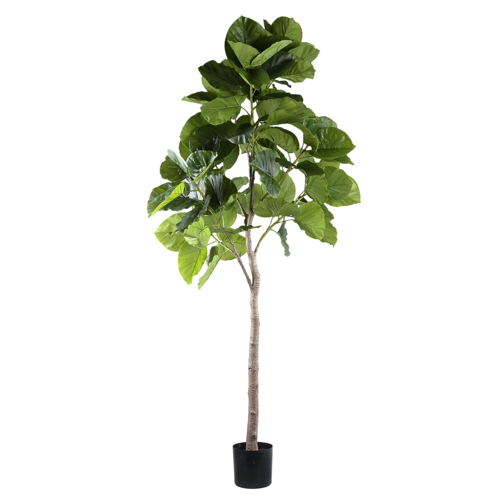 PTMD Boom Groene ficusboom in pot L