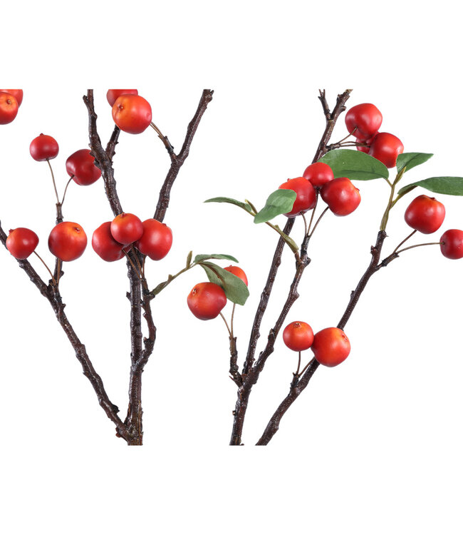 PTMD Bladeren Plant rode appel spray met bladeren