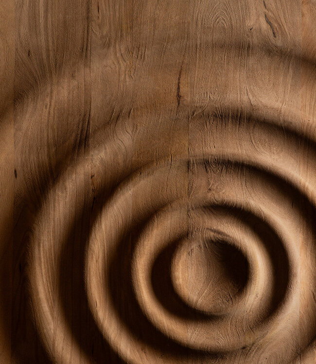 PTMD Mattin Natuurlijke mangohouten cirkel wandpaneel rechthoekig