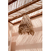 De Abaca Kwallen Hanger - Natuurlijk - M