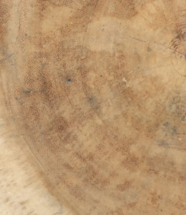 Bazar Bizar De Galapagos kruk - Natuurlijk