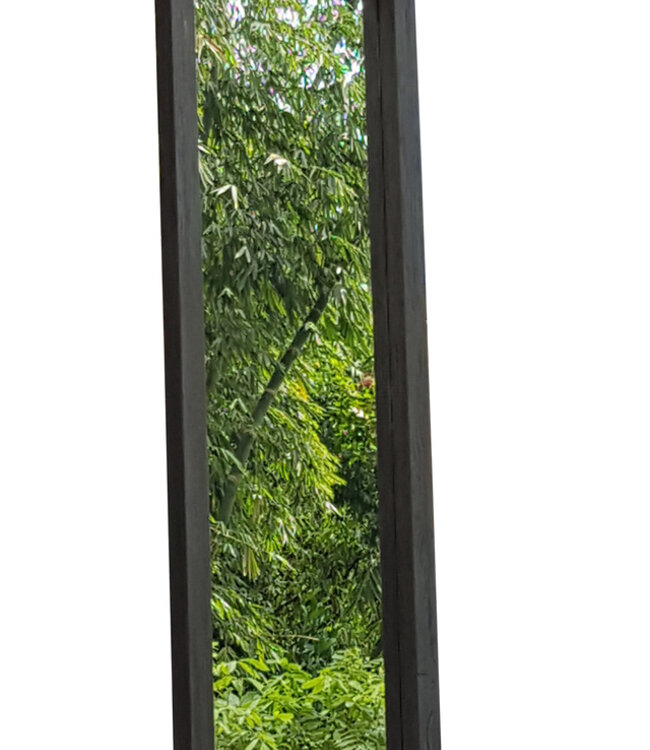 Livingfurn Spiegel Houtskool 150x45x8 cm