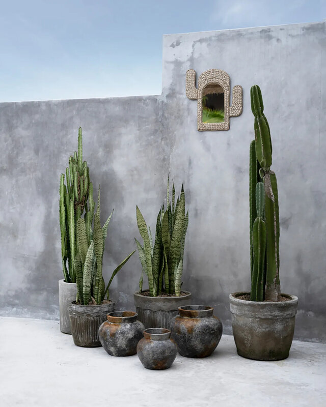 Bazar Bizar De Cactus Schelp Spiegel - Wit
