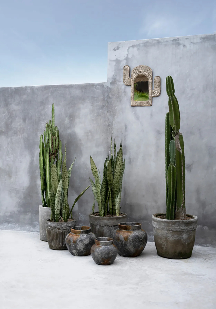 Bazar Bizar De Cactus Schelp Spiegel - Wit