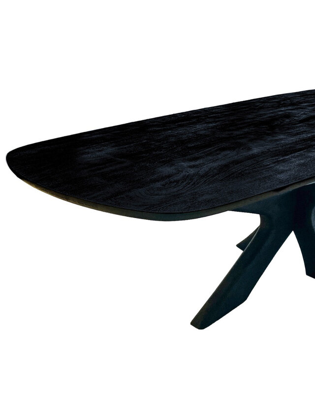 Brix Montreaux Eetkamertafel Zwart H76xB220xD100 cm