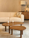 Livingfurn Nubi Salontafel Set Van 2 Stuks Organisch Bruin