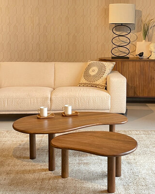 Livingfurn Nubi Salontafel Set Van 2 Stuks Organisch Bruin