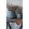 Plantenbakken | Set Van 2 | Majestic Vintage | H20 x D16-26 cm