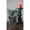 Plantenbak Ramskop | Majestic Brown | H14 x D14 cm