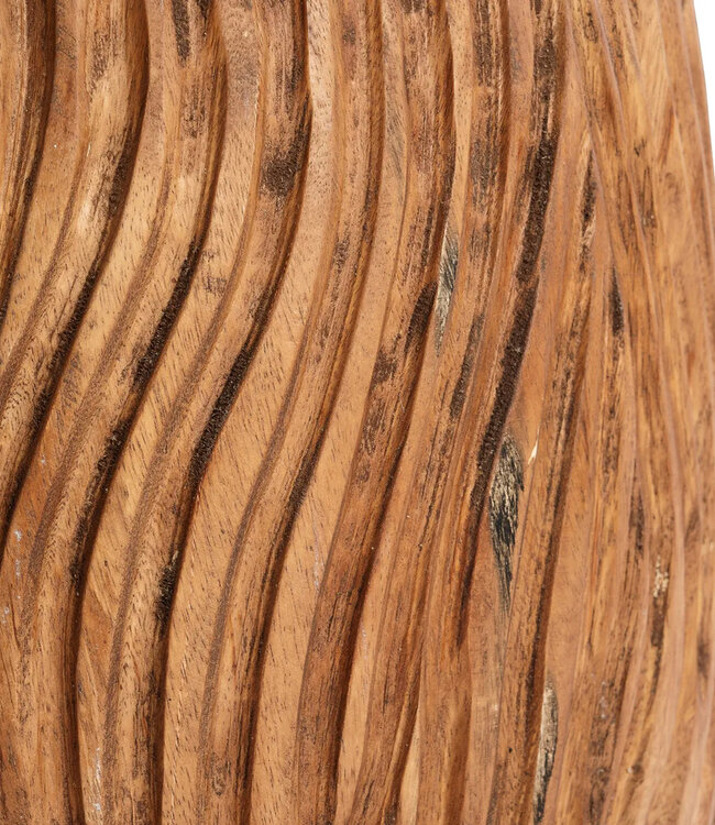 Bazar Bizar De Celebes Kruk - Natuurlijk