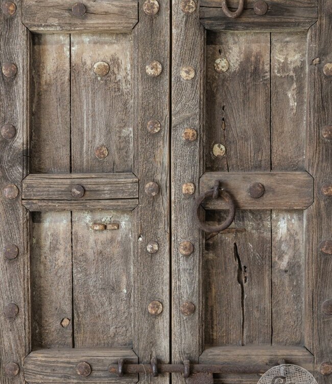 Be-Uniq Oude Deur | India | H186 x B123 x D6 cm