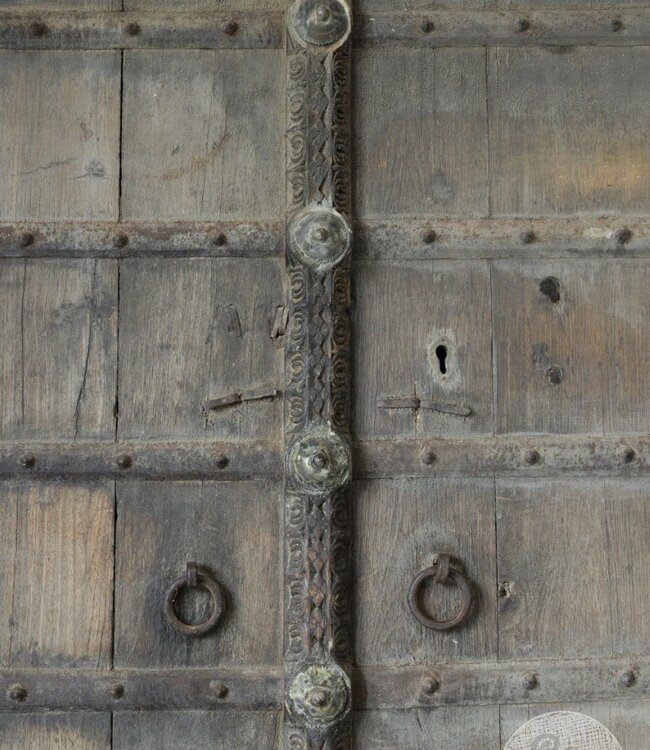 Be-Uniq Oude Deur | India | H195 x B126 x D5 cm
