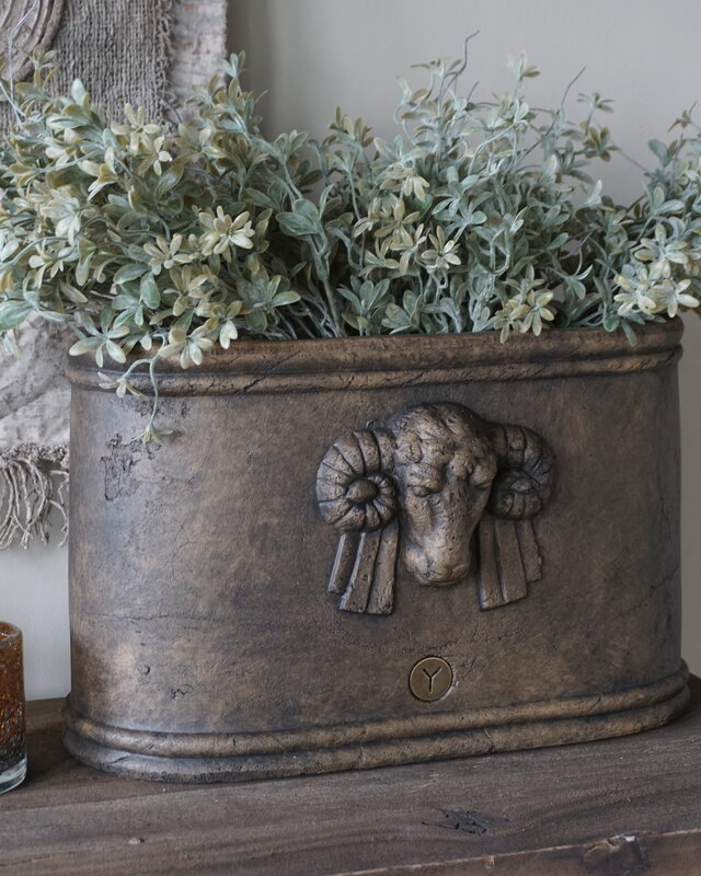 Brynxz Plantenbak Ramskop | Ovaal | Majestic Brown | H26xB45xD20 cm
