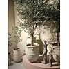 Tony Grey grote keramische pot ronde laag 72x60 Cm