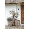 Plantenbak Julia | Rattan | Medium