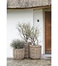 Gommaire Plantenbak Julia | Rattan | Medium