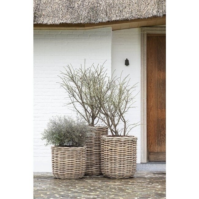 Gommaire Plantenbak Julia | Rattan | Medium