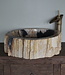 Rene Houtman Waskom Fossil | B49 x D41,5 x H14,5 cm