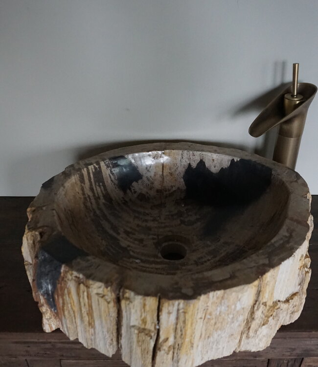 Rene Houtman Waskom Fossil | B49 x D41,5 x H14,5 cm