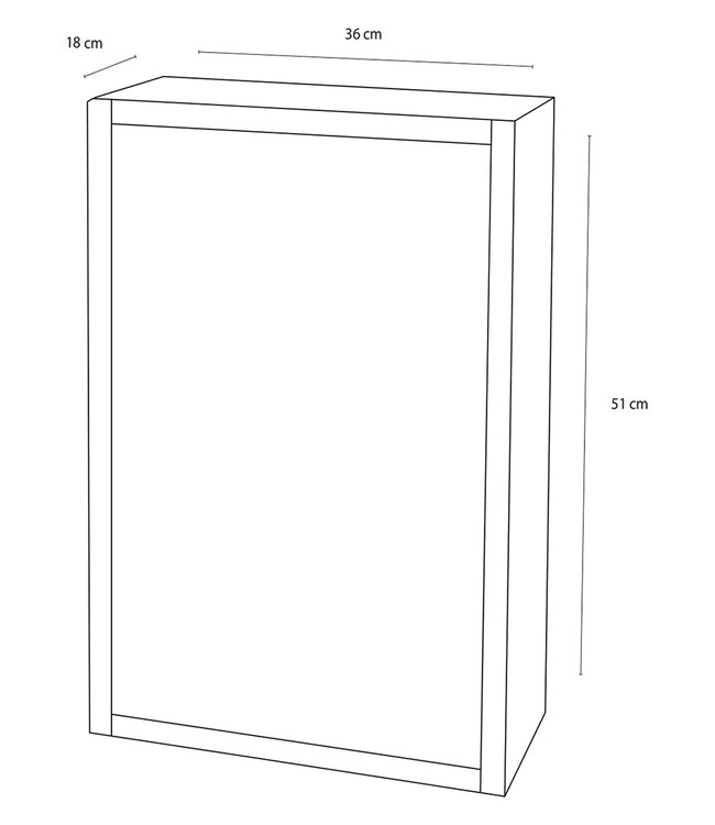 Differnz Look Spiegelkast | Zilver | H51x B36 x D18 cm