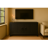 TV-Dressoir | Zwart | 2-Deurs | 100x55x40 cm