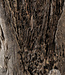 Be-Uniq Oude Houten Zuil | India | H95xB40xD35 cm