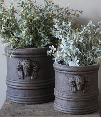 Brynxz Bloempot Met Ramskop | Set Van 2 | Majestic Brown