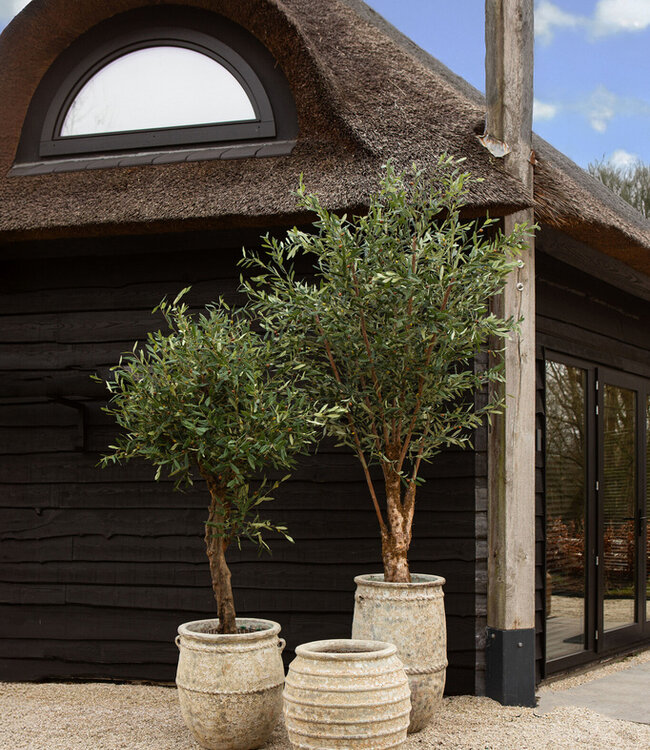 PTMD Tony Grey grote keramische pot ronde laag 72x60 Cm