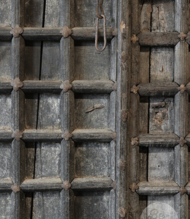 Be-Uniq Oude Deur | India | H150 x B88 x D3 cm