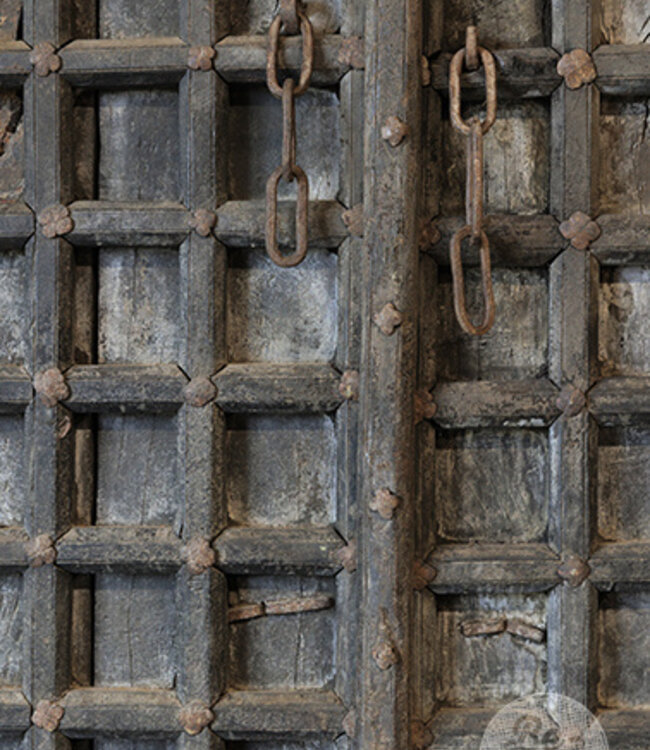 Be-Uniq Unieke Oude Deur | India | H150 x B88 x D3 cm